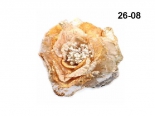 ��������� � ������ 26-08